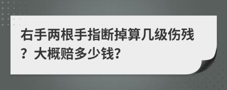 右手两根手指断掉算几级伤残？大概赔多少钱？