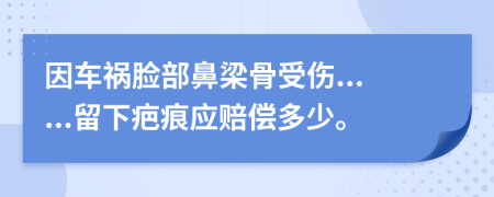 因车祸脸部鼻梁骨受伤......留下疤痕应赔偿多少。