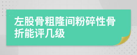 左股骨粗隆间粉碎性骨折能评几级