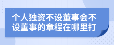 个人独资不设董事会不设董事的章程在哪里打