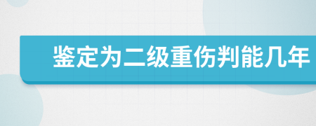 鉴定为二级重伤判能几年