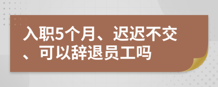 入职5个月、迟迟不交、可以辞退员工吗