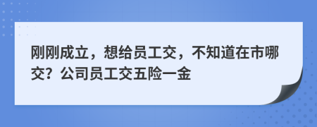 刚刚成立，想给员工交，不知道在市哪交？公司员工交五险一金