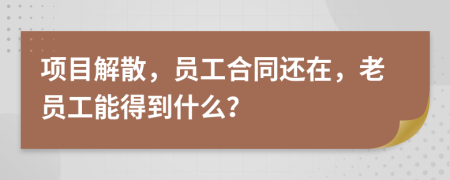 项目解散，员工合同还在，老员工能得到什么？