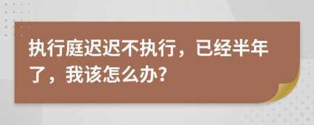 执行庭迟迟不执行，已经半年了，我该怎么办？