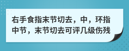 右手食指末节切去，中，环指中节，末节切去可评几级伤残