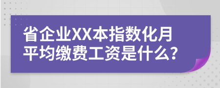 省企业XX本指数化月平均缴费工资是什么？