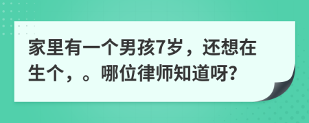 家里有一个男孩7岁，还想在生个，。哪位律师知道呀？