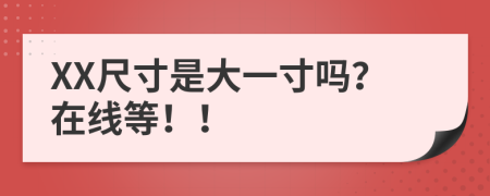 XX尺寸是大一寸吗？在线等！！