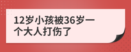 12岁小孩被36岁一个大人打伤了