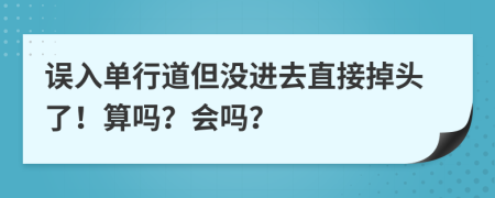 误入单行道但没进去直接掉头了！算吗？会吗？