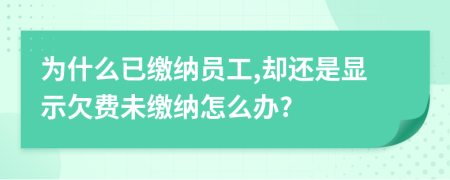 为什么已缴纳员工,却还是显示欠费未缴纳怎么办?
