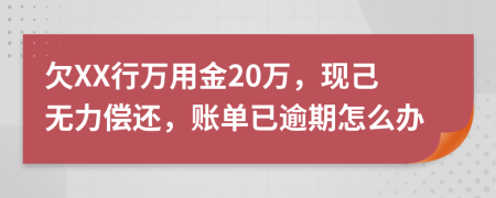 欠XX行万用金20万，现己无力偿还，账单已逾期怎么办