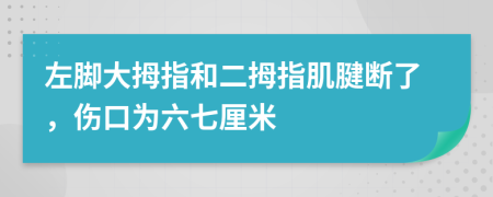 左脚大拇指和二拇指肌腱断了，伤口为六七厘米