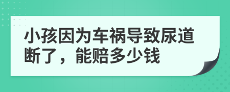 小孩因为车祸导致尿道断了，能赔多少钱