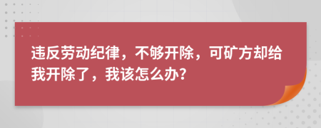 违反劳动纪律，不够开除，可矿方却给我开除了，我该怎么办？