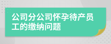 公司分公司怀孕待产员工的缴纳问题