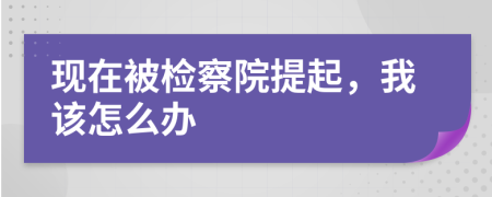 现在被检察院提起，我该怎么办