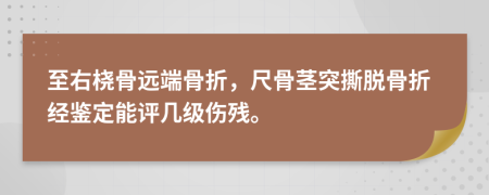 至右桡骨远端骨折，尺骨茎突撕脱骨折经鉴定能评几级伤残。