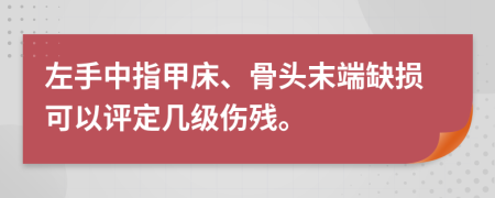 左手中指甲床、骨头末端缺损可以评定几级伤残。