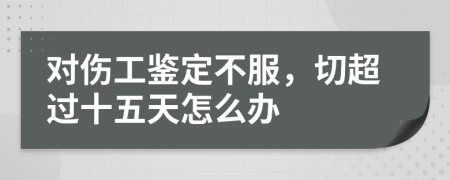 对伤工鉴定不服，切超过十五天怎么办