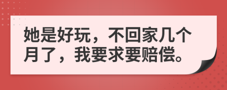 她是好玩，不回家几个月了，我要求要赔偿。