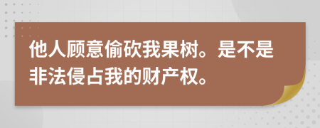 他人顾意偷砍我果树。是不是非法侵占我的财产权。