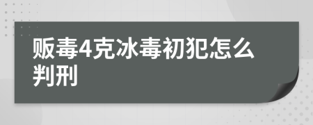 贩毒4克冰毒初犯怎么判刑