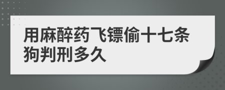 用麻醉药飞镖偷十七条狗判刑多久