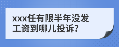 xxx任有限半年没发工资到哪儿投诉？