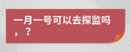 一月一号可以去探监吗，？