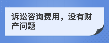 诉讼咨询费用，没有财产问题