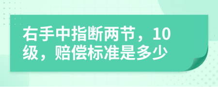 右手中指断两节，10级，赔偿标准是多少