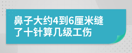 鼻子大约4到6厘米缝了十针算几级工伤