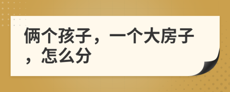 俩个孩子，一个大房子，怎么分