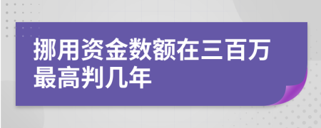 挪用资金数额在三百万最高判几年