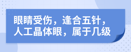 眼睛受伤，逢合五针，人工晶体眼，属于几级