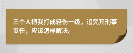 三个人把我打成轻伤一级，追究其刑事责任，应该怎样解决。