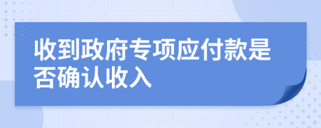 收到政府专项应付款是否确认收入