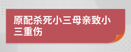 原配杀死小三母亲致小三重伤