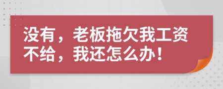 没有，老板拖欠我工资不给，我还怎么办！