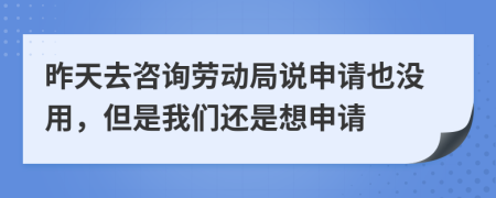 昨天去咨询劳动局说申请也没用，但是我们还是想申请
