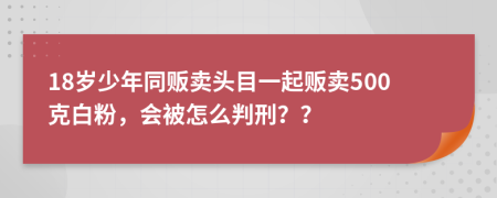 18岁少年同贩卖头目一起贩卖500克白粉，会被怎么判刑？？