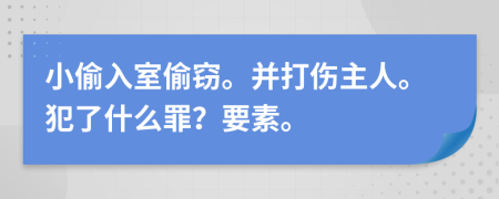 小偷入室偷窃。并打伤主人。犯了什么罪？要素。