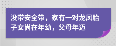 没带安全带，家有一对龙凤胎子女尚在年幼，父母年迈