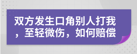 双方发生口角别人打我，至轻微伤，如何赔偿