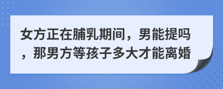 女方正在脯乳期间，男能提吗，那男方等孩子多大才能离婚