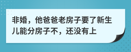 非婚，他爸爸老房子要了新生儿能分房子不，还没有上