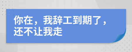 你在，我辞工到期了，还不让我走