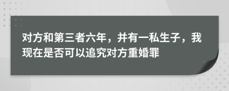 对方和第三者六年，并有一私生子，我现在是否可以追究对方重婚罪